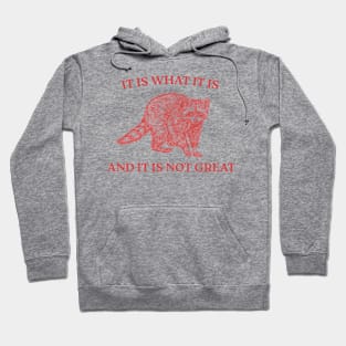 It Is What It Is And It Is Not Great Hoodie